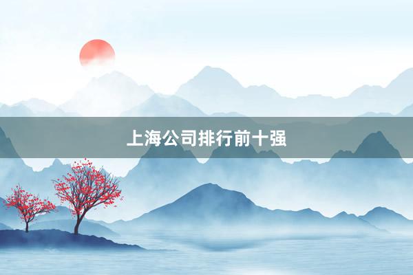 上海公司排行前十强