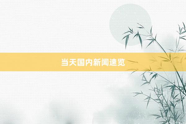 当天国内新闻速览